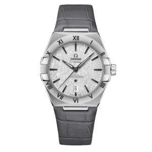 Omega Co-Axial Master Chronometer 39 mm 131.13.39.20.06.001
