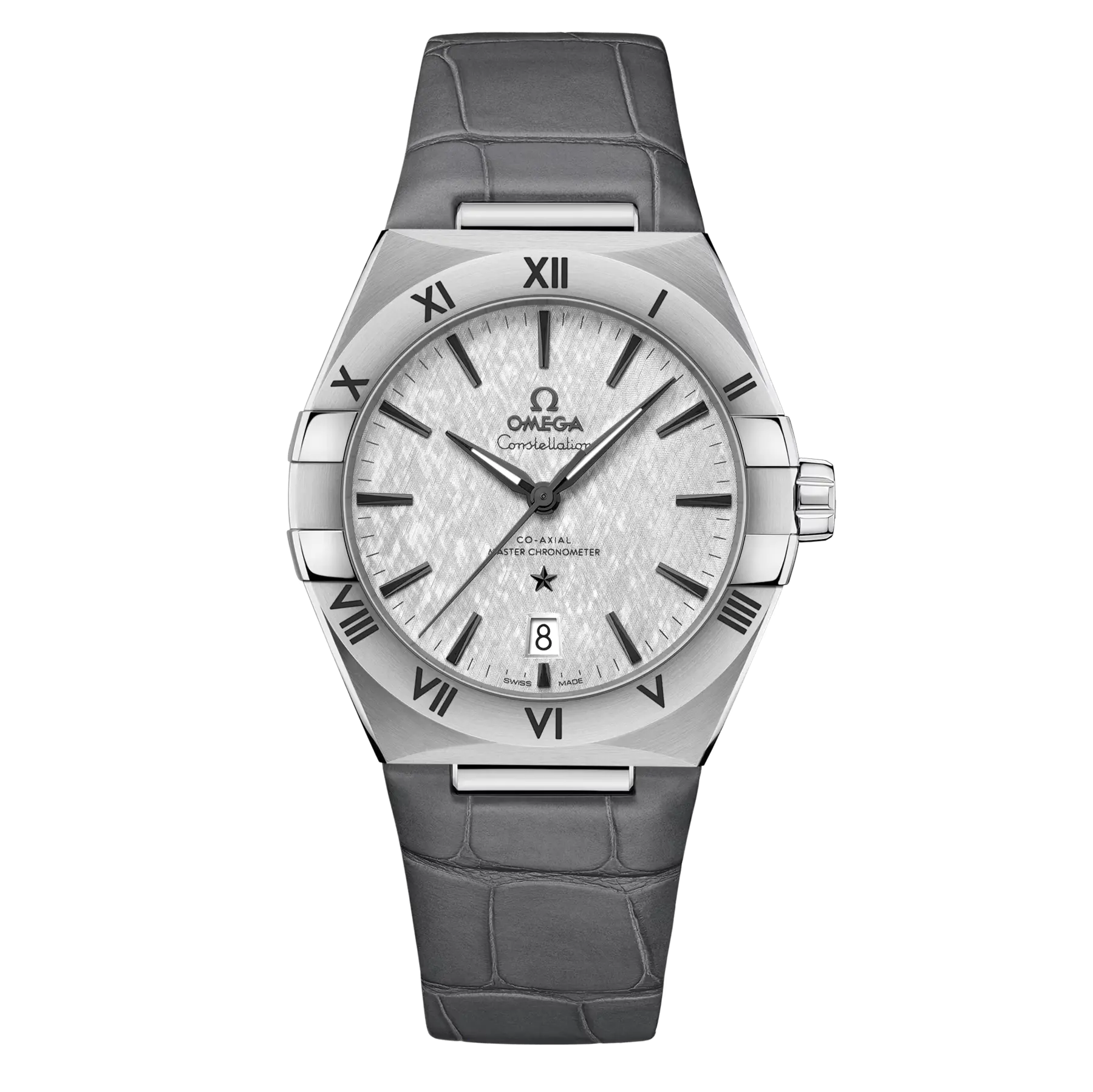 Omega Co-Axial Master Chronometer 39 mm 131.13.39.20.06.001