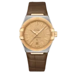 Omega Co-Axial Master Chronometer 39 mm 131.23.39.20.08.001