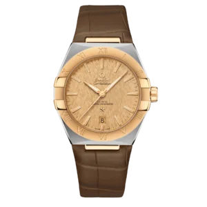 Omega Co-Axial Master Chronometer 39 mm 131.23.39.20.08.001