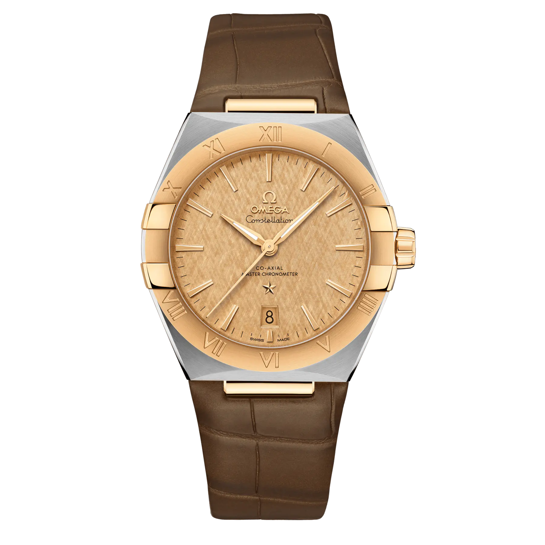 Omega Co-Axial Master Chronometer 39 mm 131.23.39.20.08.001