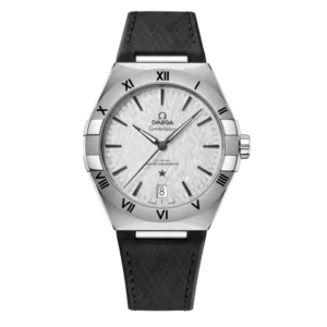 Omega Co-Axial Master Chronometer 41 mm 131.12.41.21.06.001
