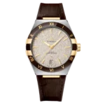 Omega Co-Axial Master Chronometer 41 mm 131.23.41.21.06.002