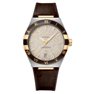 Omega Co-Axial Master Chronometer 41 mm 131.23.41.21.06.002