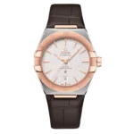 Omega Co-Axial Master Chronometer 39 mm 131.23.39.20.02.001