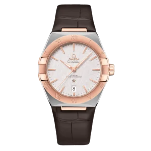 Omega Co-Axial Master Chronometer 39 mm 131.23.39.20.02.001