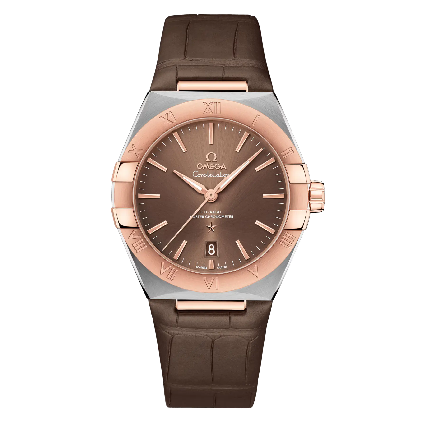 Omega Co-Axial Master Chronometer 39 mm 131.23.39.20.13.001