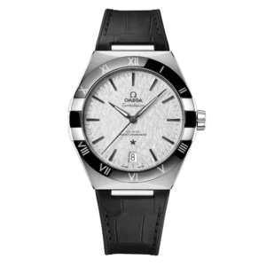Omega Co-Axial Master Chronometer 41 mm 131.33.41.21.06.001
