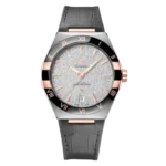 Omega Co-Axial Master Chronometer 41 mm 131.23.41.21.06.001