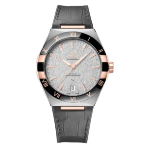 Omega Co-Axial Master Chronometer 41 mm 131.23.41.21.06.001